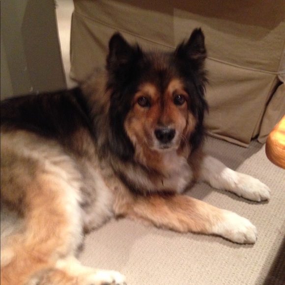 Meet your Posher, Caroline - Picture 1 of 1